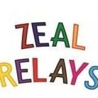 Zeal Relays